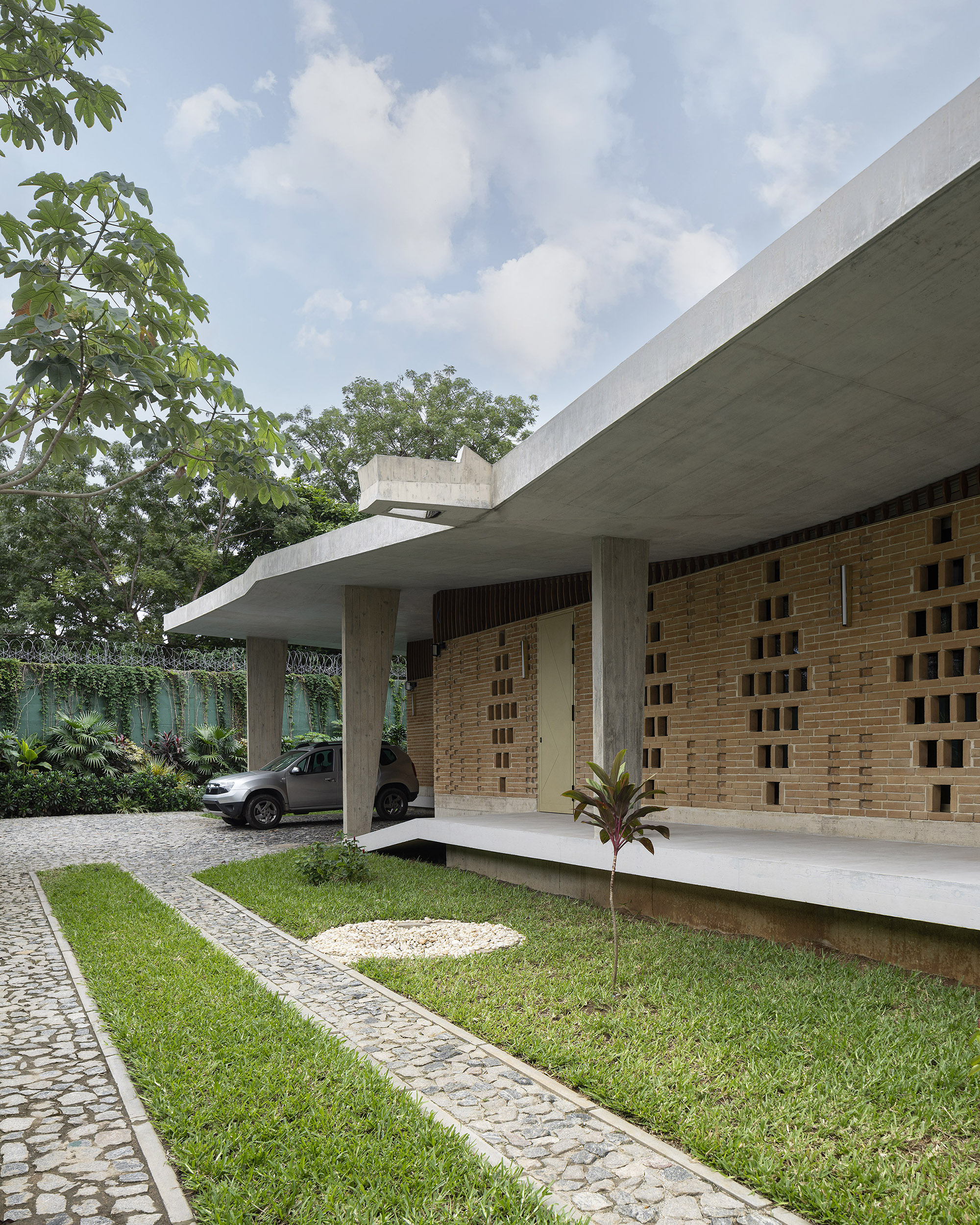 LOCAL_ABIDJAN_CROCODILE_LD_10