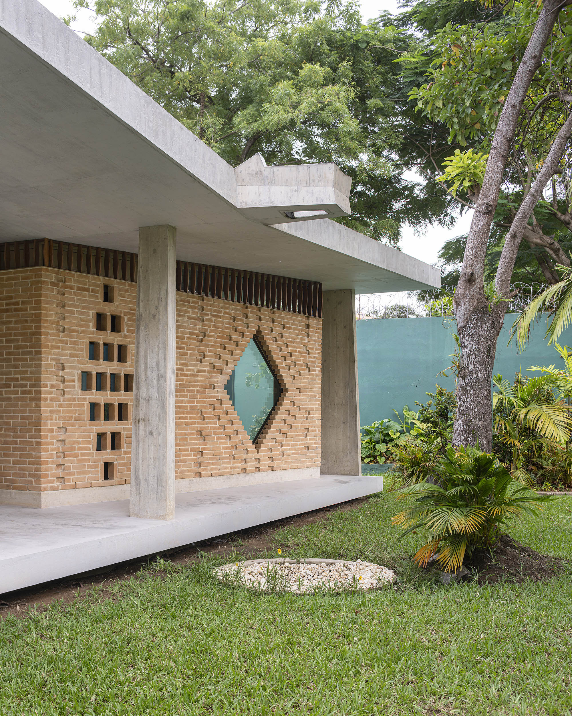 LOCAL_ABIDJAN_CROCODILE_LD_6